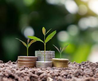 Sustentabilidade financeira: o que é e por que praticar